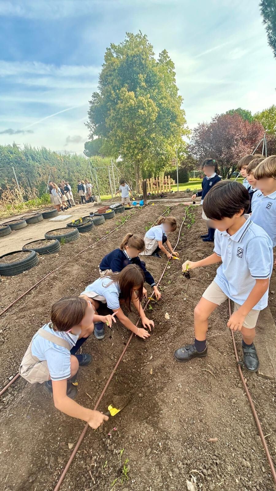 Nuestro huerto escolar: un aula viva desde Infantil hasta Secundaria