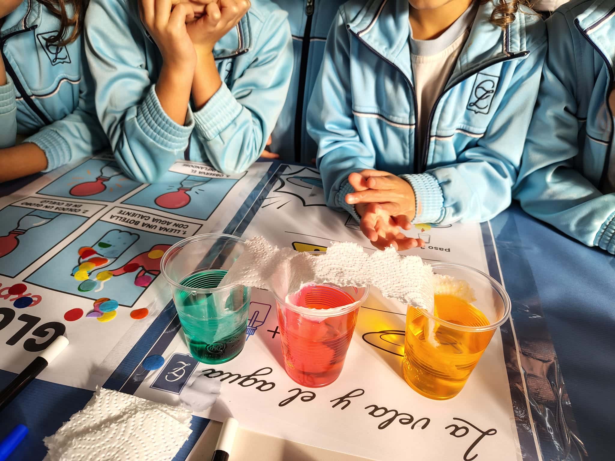 La Semana de la Ciencia en nuestro colegio: #CienciaZola