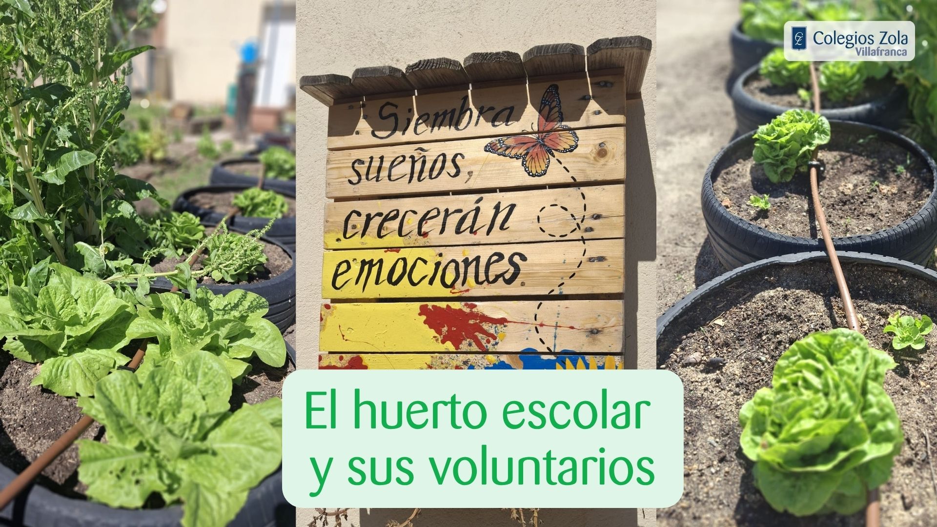 Los voluntarios del huerto del Colegio Zola Villafranca: sembrando futuro cada día
