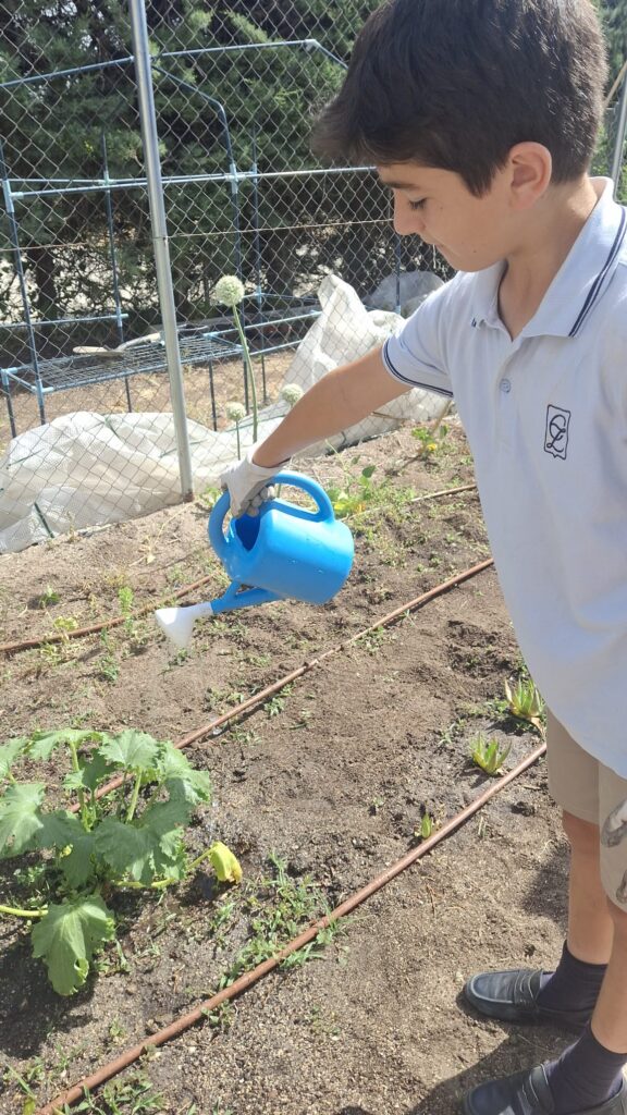 Huerto escolar colegio zola villafranca