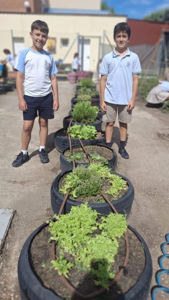 Huerto escolar colegio zola villafranca